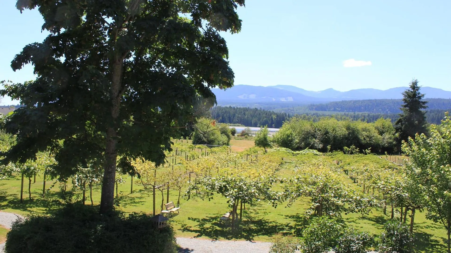 Kiwi Cove Lodge Ladysmith Canada